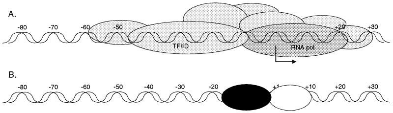 FIG. 5