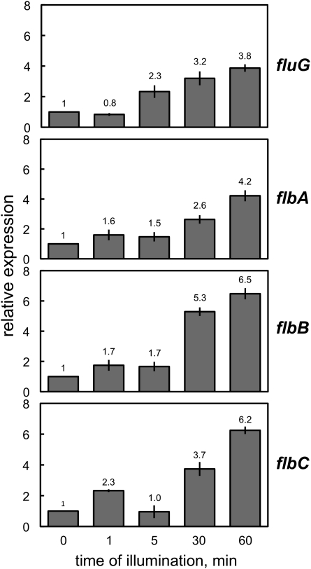 Figure 3 