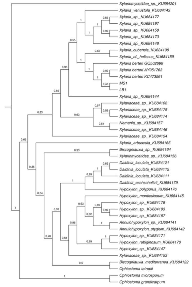 Figure 4