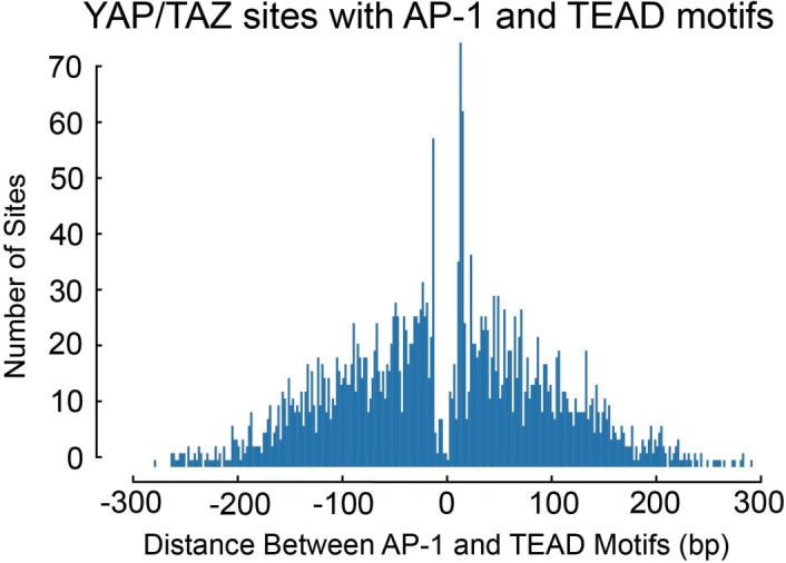 Figure 6—figure supplement 1.