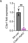 Figure 3—figure supplement 1.