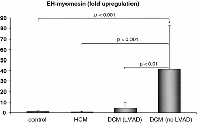 Fig. 7