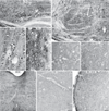 Fig. 8