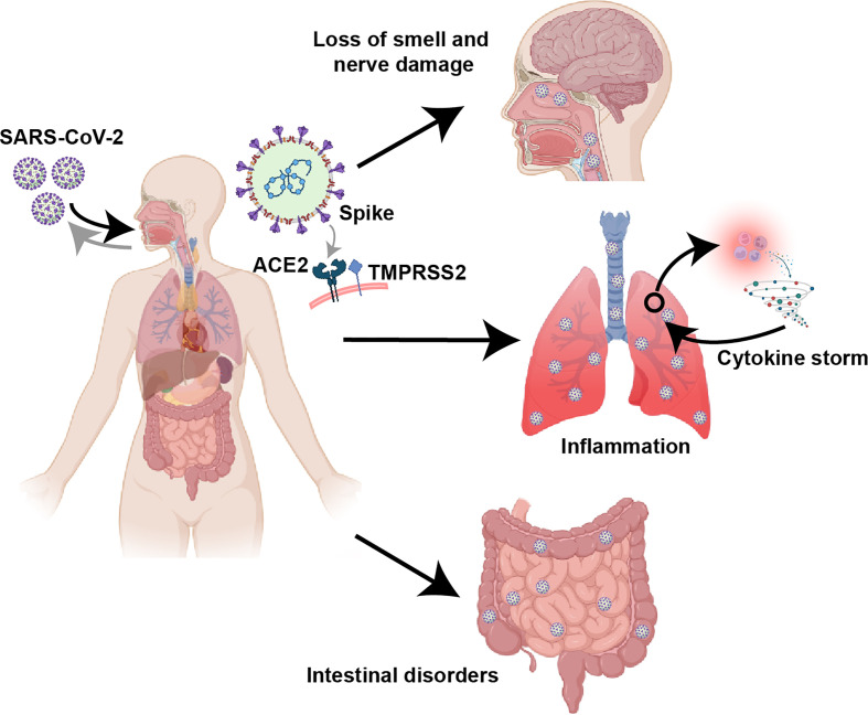 Figure 2