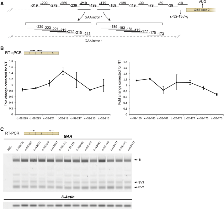 Figure 3