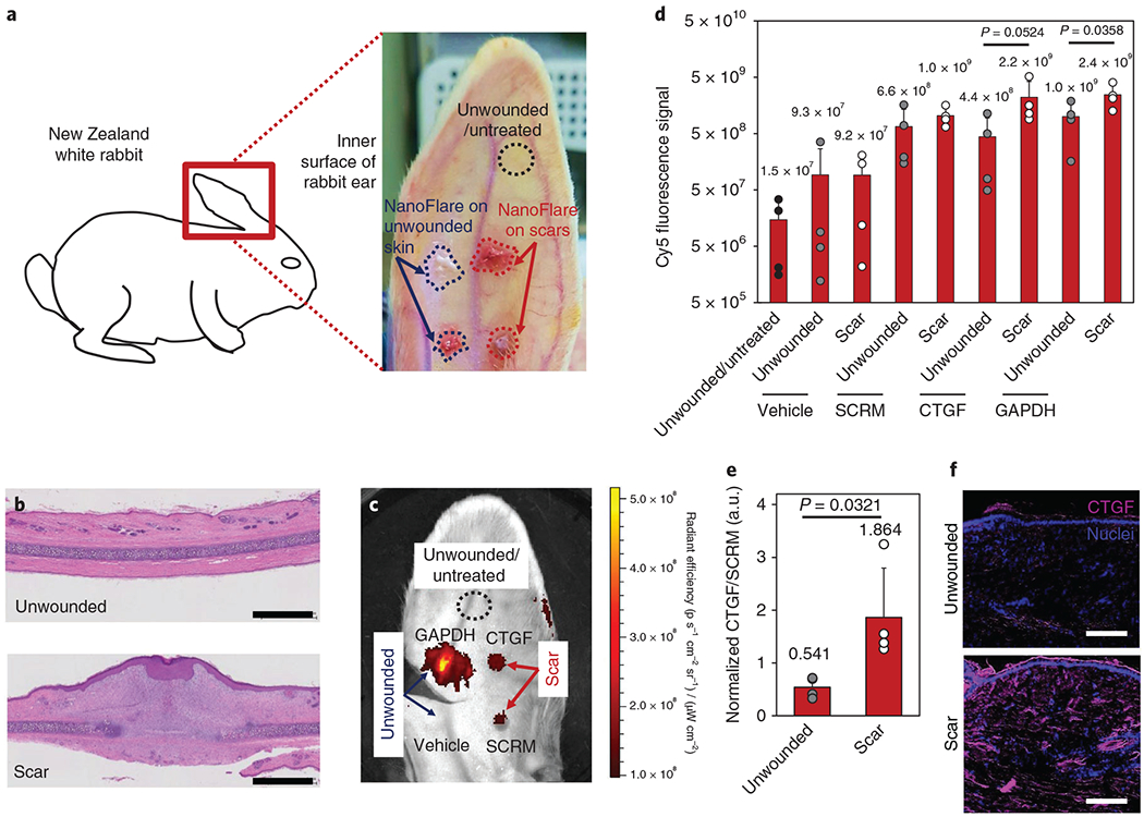 Fig. 7 |