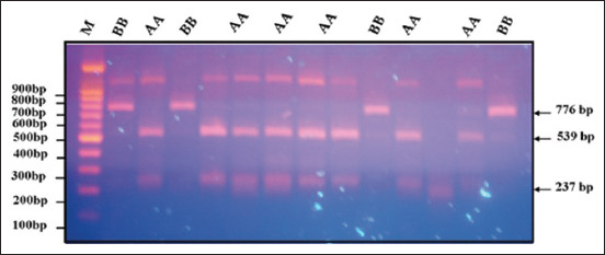 Figure-5