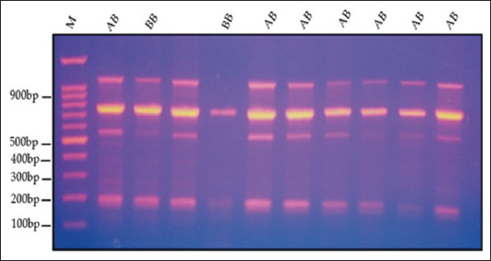 Figure-4