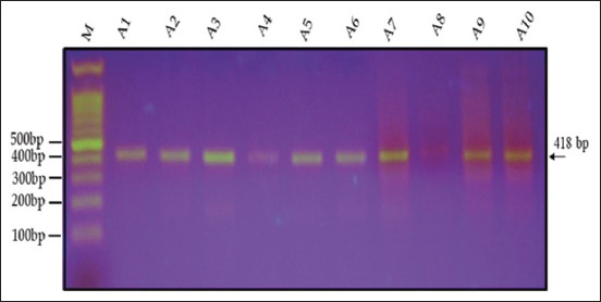 Figure-6