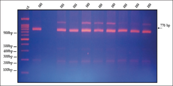 Figure-3