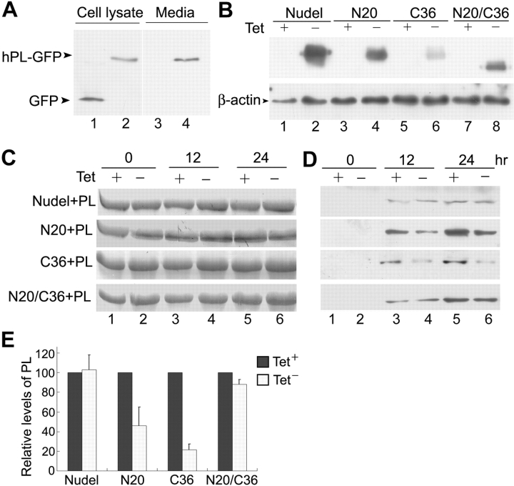 Figure 6.