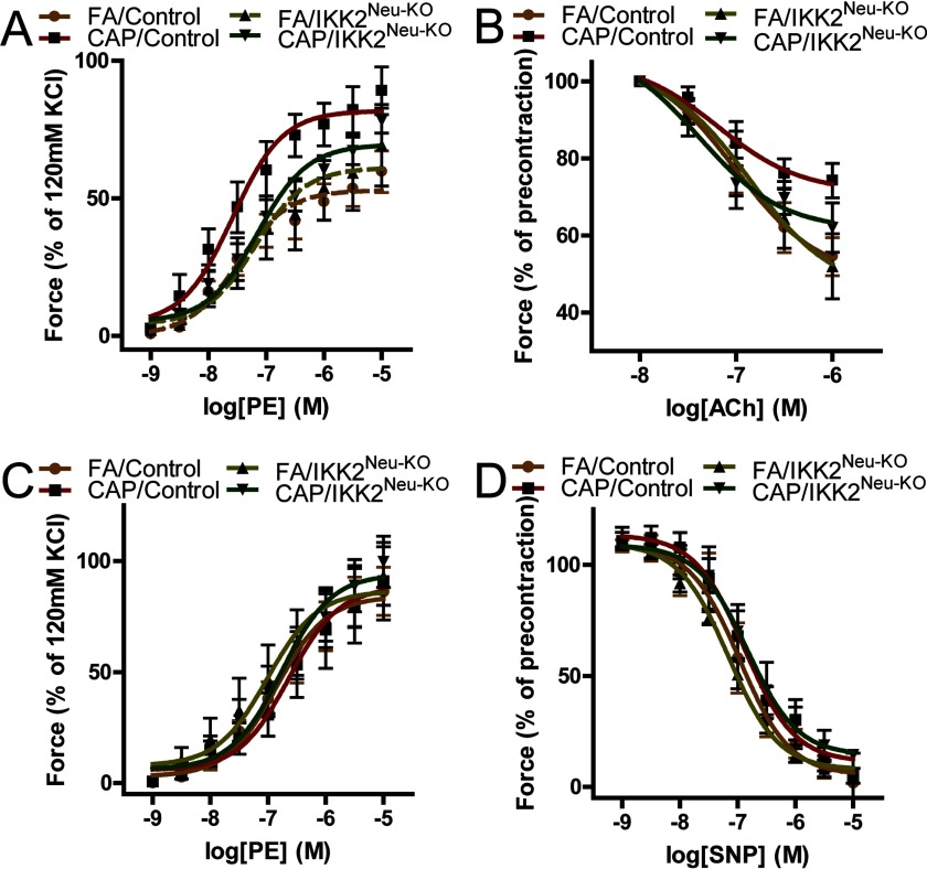 Figures 5A and 5B are line graphs with standard deviation respectively plotting force (percentage of 120 millimolar KCl) and force (percentage of precontraction) (y-axis) across log PE in molar and log ACh in molar (x-axis). Figures 5C and 5D are line graphs with standard deviation respectively plotting force (percentage of 120 millimolar KCl) in the presence of the NOS inhibitor L-NAME and force (percentage of precontraction) (y-axis) across log PE in molar and log SNP in molar (x-axis). All of these were associated with FA and CAP exposed male control mice and IKK2 super Neu KO mice.