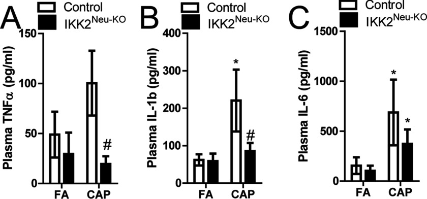 Figures 3A to 3C are stacked bar graphs with standard deviation plotting plasma TNF alpha in picograms per milliliter, plasma IL 1 beta in picograms per milliliter, and plasma IL 6 in picograms per milliliter, respectively (y-axis), from male control mice and IKK2 super Neu KO mice as exposed to CAP and FA (x-axis).