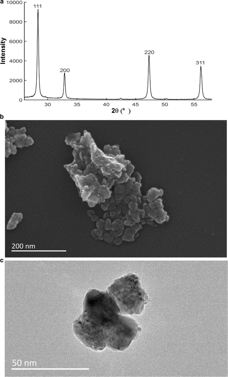 Fig. 1