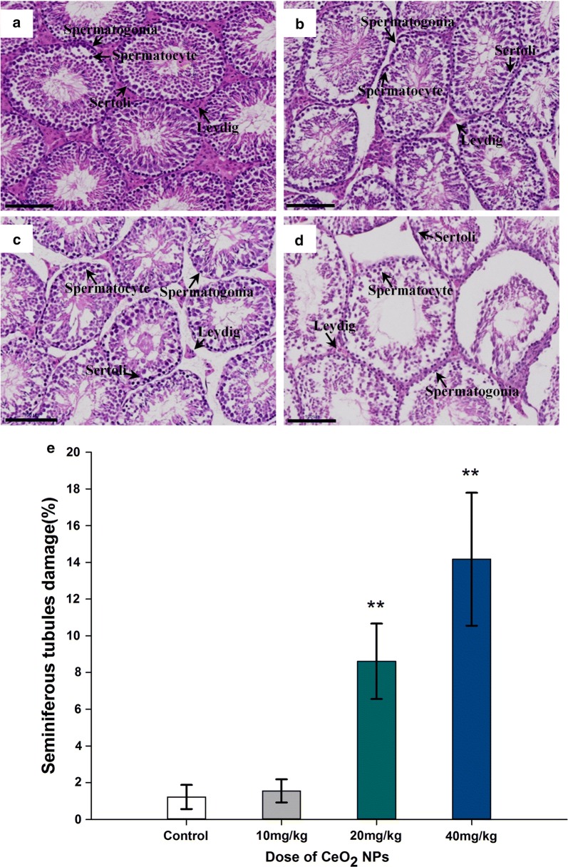 Fig. 6