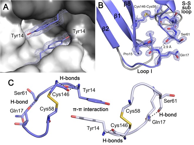 Fig. 6.