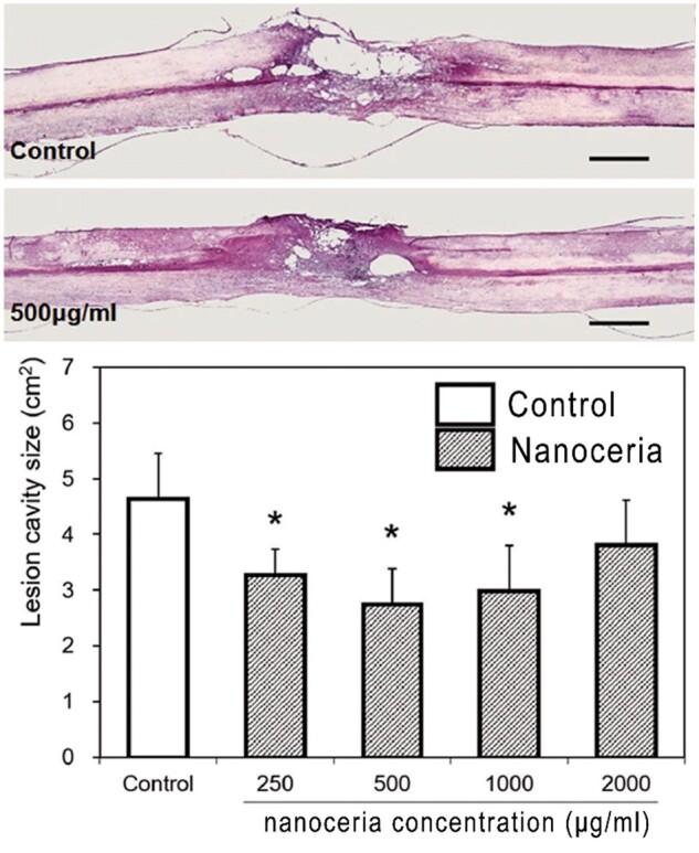 Figure 10.