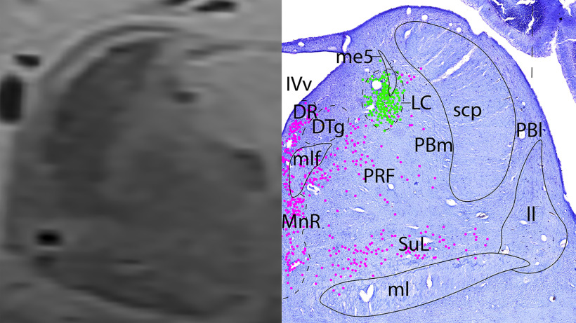 Figure 13.