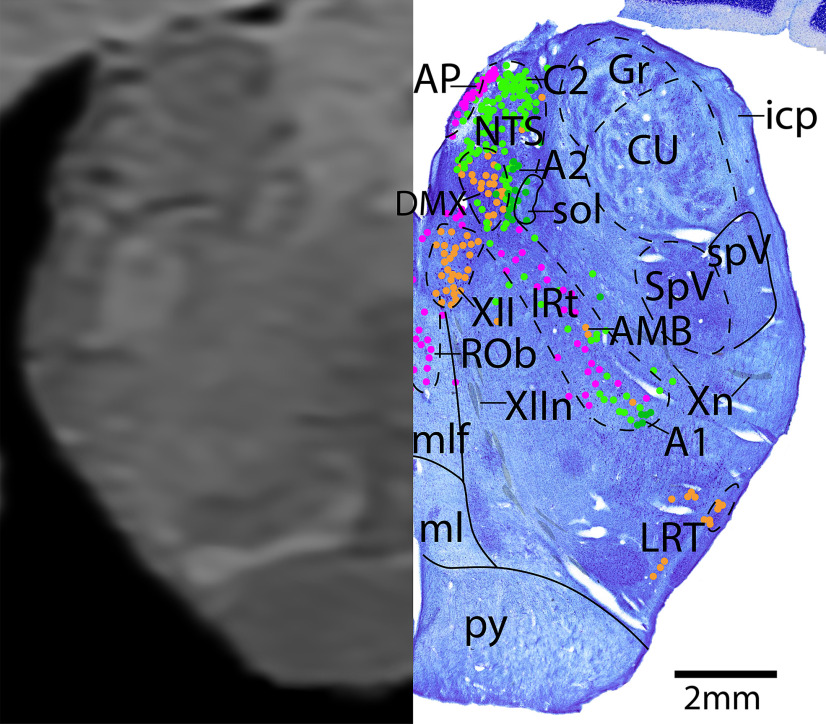 Figure 23.