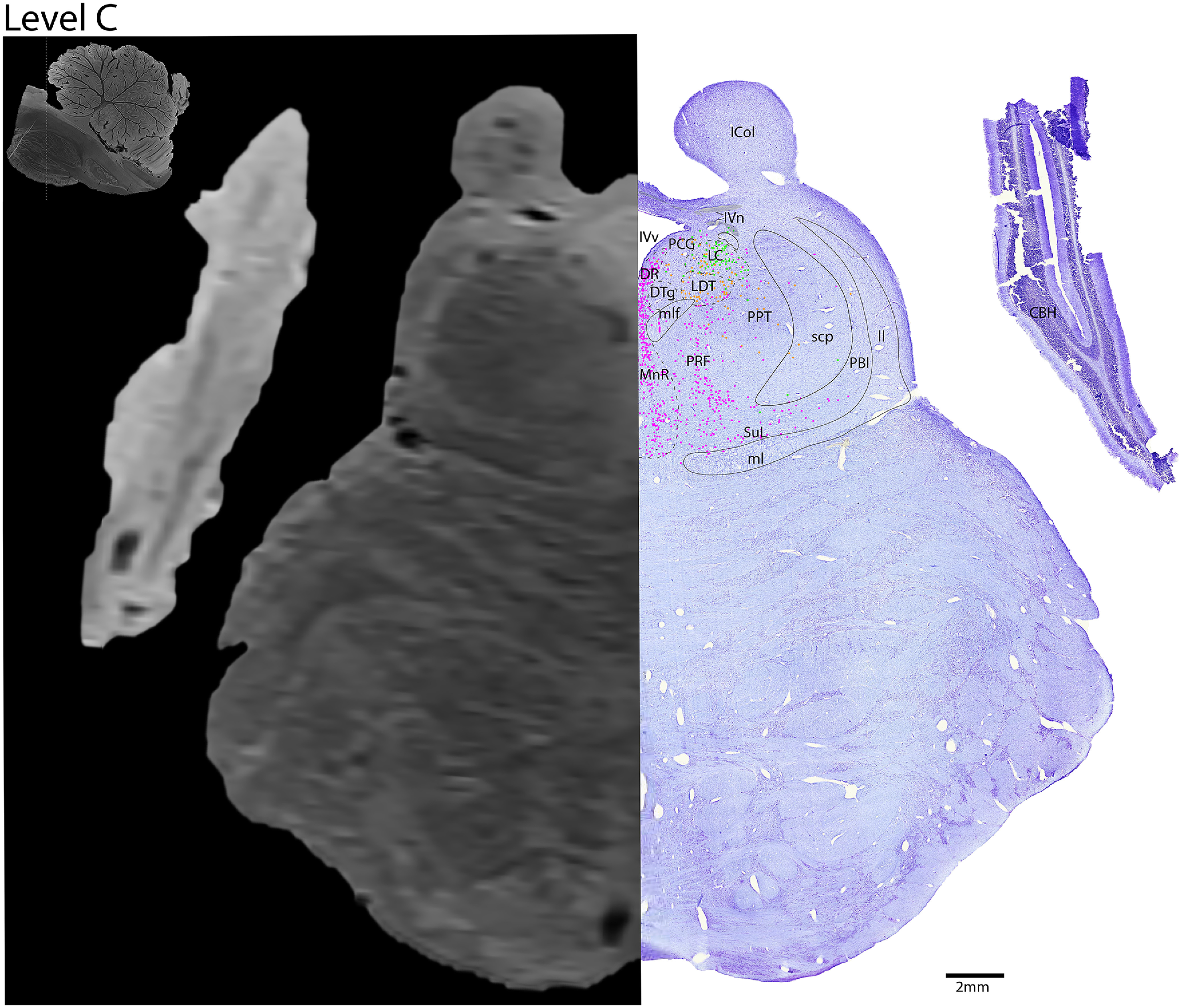 Figure 10.