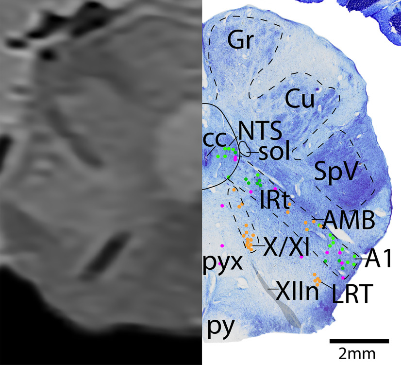 Figure 25.