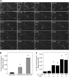 Figure 11.