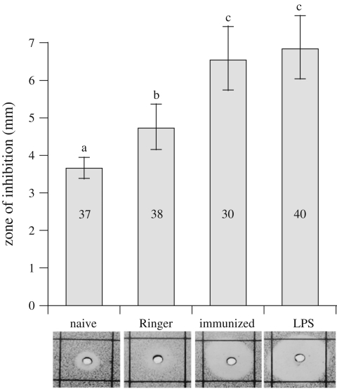 Figure 2.