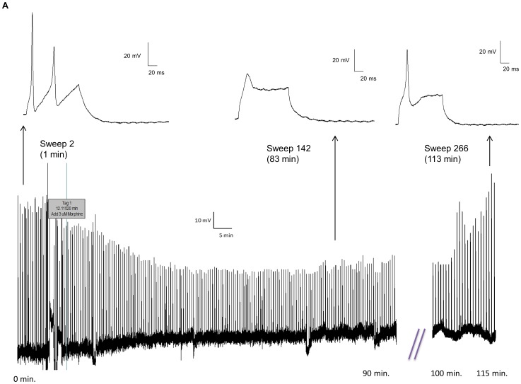 Figure 12