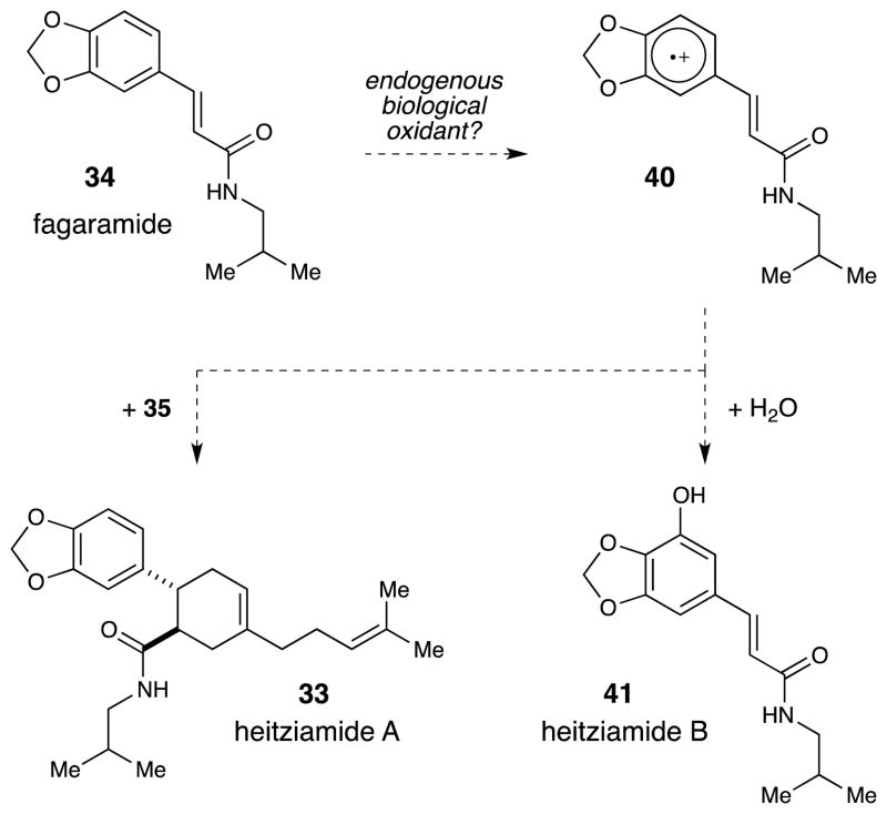 Scheme 9