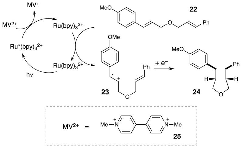 Scheme 5