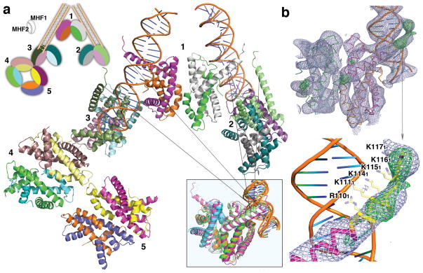 Fig. 1