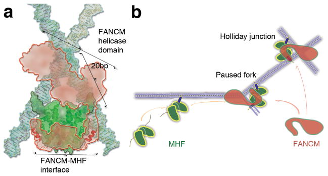 Fig. 8