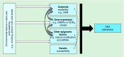 <b>Figure 1.</b>