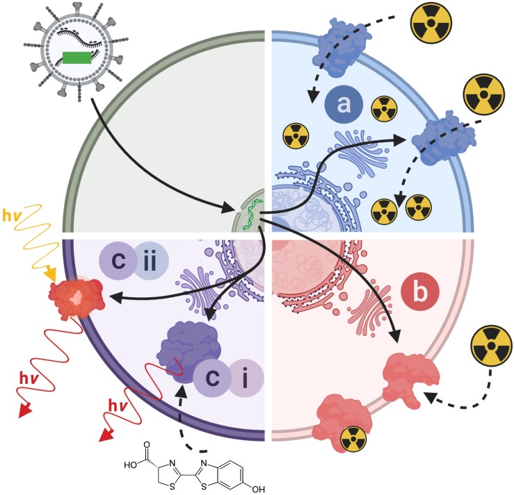 FIGURE 4