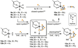 Scheme 4