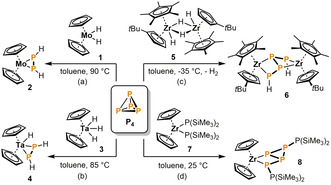 Scheme 3