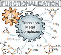 graphic file with name CHEM-27-1886-g035.jpg