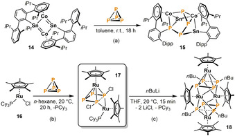 Scheme 5