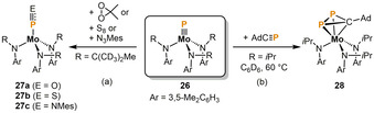 Scheme 7