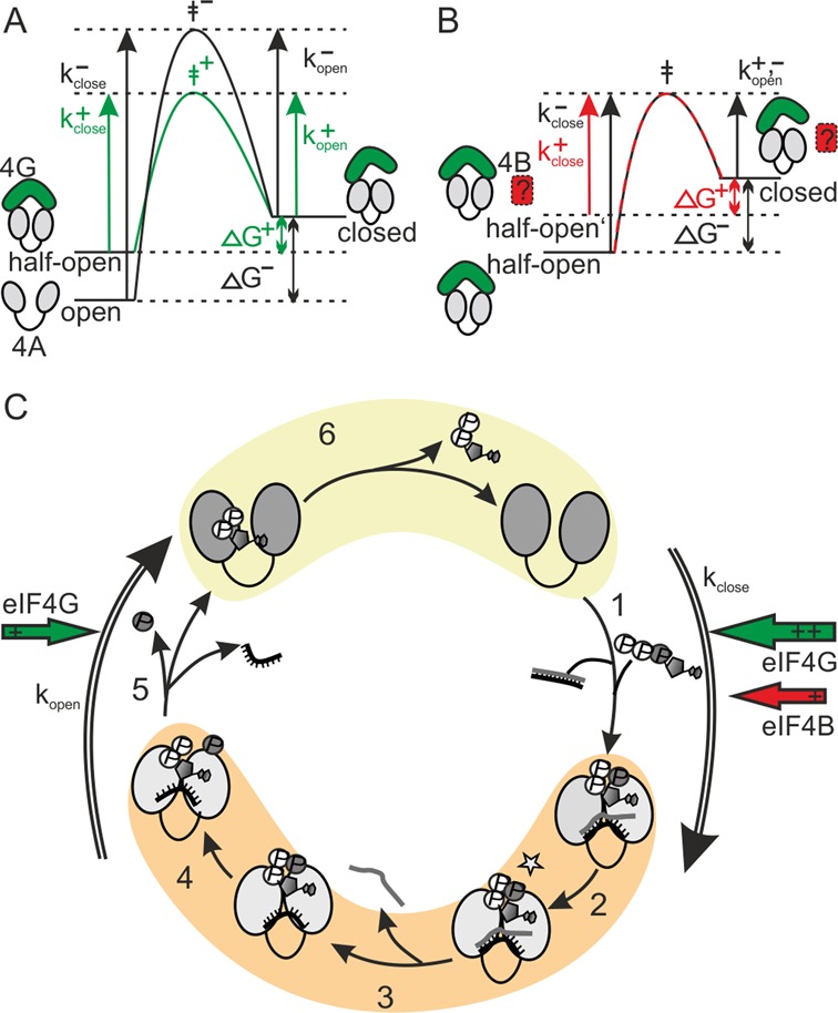 Figure 5.