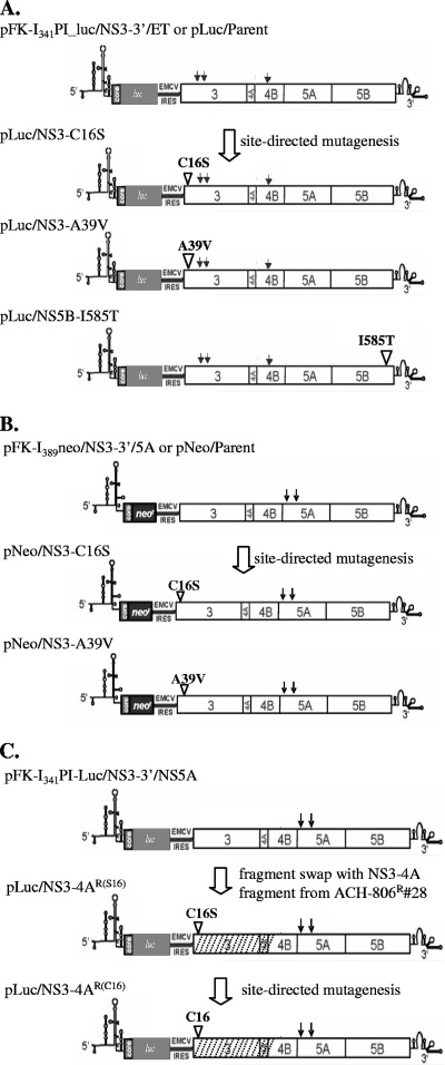 FIG. 2.