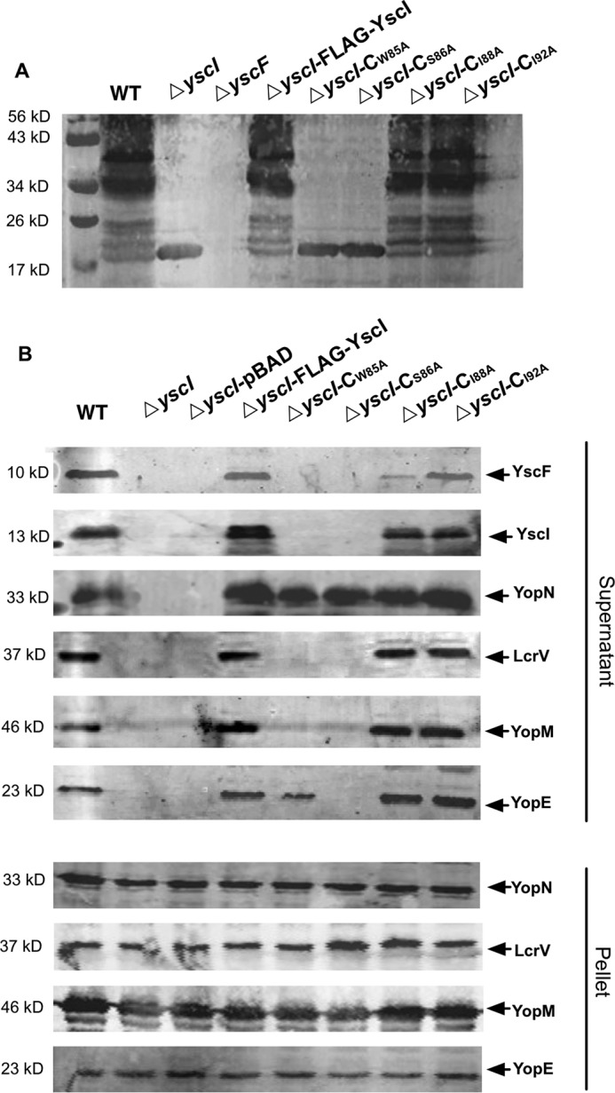 FIGURE 6.