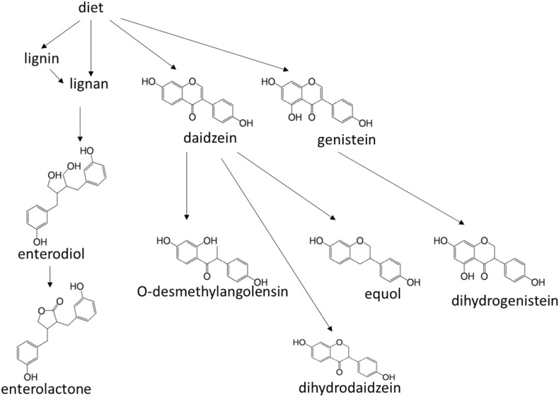 Figure 4