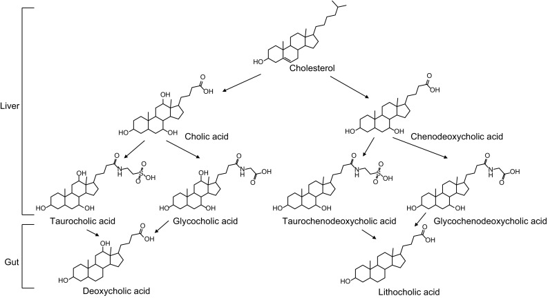 Figure 6