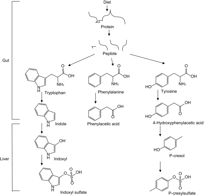 Figure 3