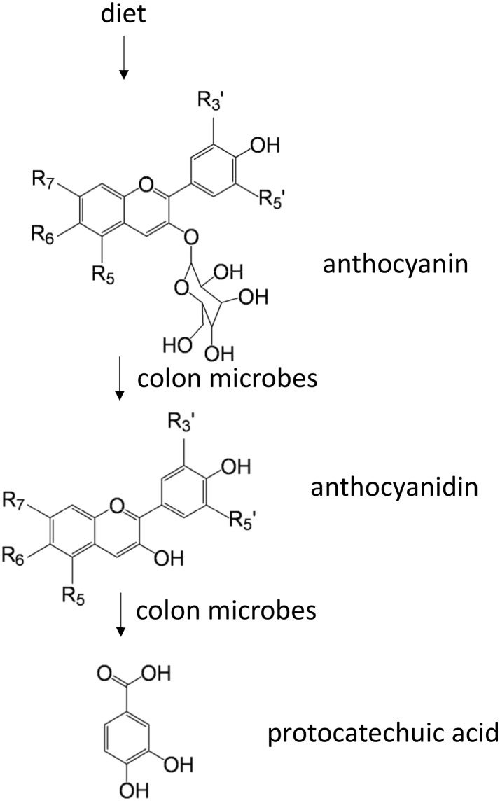 Figure 5