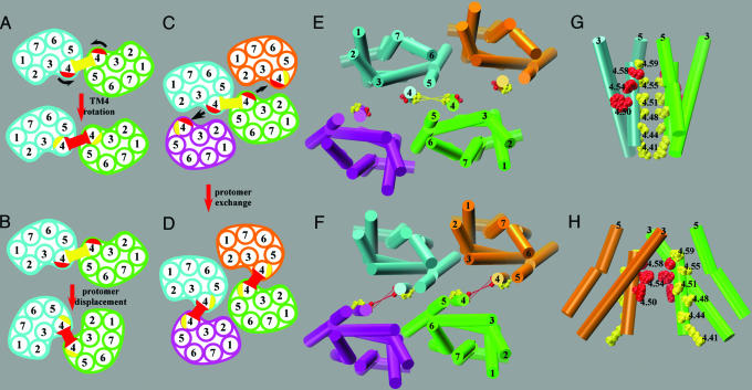 Fig. 7.