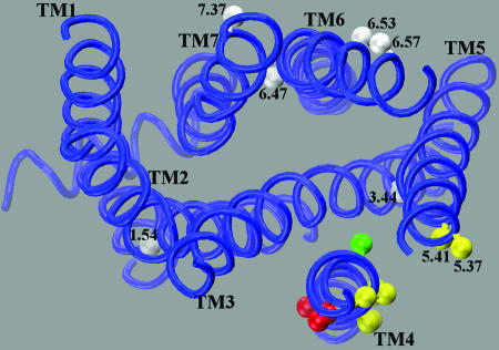 Fig. 4.