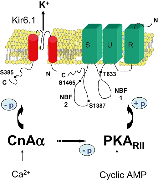 Figure 7