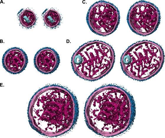 FIG. 4.